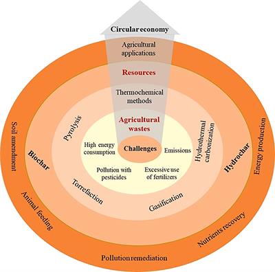 Contribution of biochar application to the promotion of circular economy in agriculture